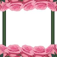 square green frame. flower template with space for text with pink roses up and down vector
