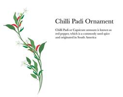 chilli floral and foliage flow in frame with leaves isolated on white background vector