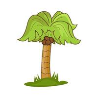 Tropical palm trees isolated on white background. Coconut trees. illustration in flat style vector