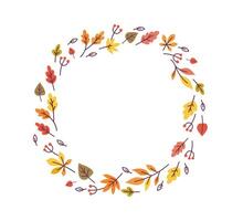 Autumn cute berries and leaves in circle wreath on white background. Fall doodle frame illustration vector