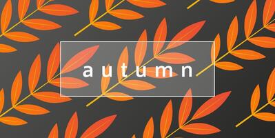 Autumnal design with orange leaves and branches on a dark grey background. Autumn stylish template vector