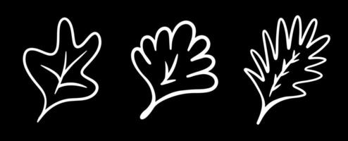Doodle leaf set. Hand drawn floral shapes and leaves. Simple black minimalistic elements for design on black background vector