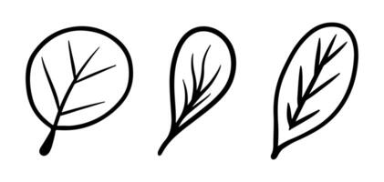 Doodle leaf set. Hand drawn leaves. Simple black minimalistic elements for design vector