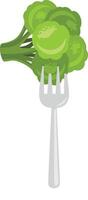 Fresh green broccoli on fork vector