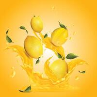 Flying lemon fresh juicy whole lemons with green leaf. A splash of lemons and lemons is being splashed with orange juice. vector