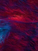 Abstract Macro Photograph for Background Use photo