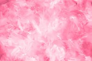 Abstract Colorful Feathers with Soft Textures on White and Pink Backgrounds, Valentine's Day Theme photo