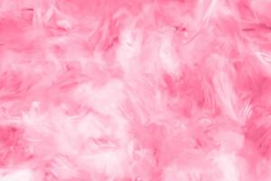 Abstract Colorful Feathers on White and Pink Backgrounds with Soft Texture, Valentine's Day Theme photo