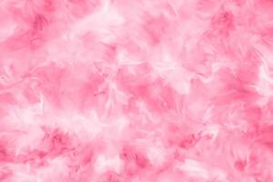 Abstract Colorful Feathers on White and Pink Background with Soft Texture, Valentine's Day Theme photo