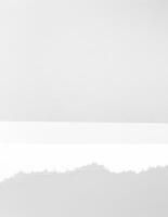 Paper Tear on White Background with Copy Space photo