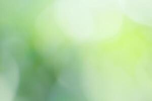 Vibrant Green Bokeh Abstract Background Ideal for Graphic Design photo