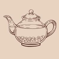 Teapot of tea with sea buckthorn. Hand drawn illustration in outline style. vector