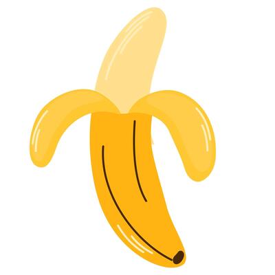 Whole tropical ripe banana fruit with peeled skin isolated on white background. Hand-drawn fresh yellow fruit. Flat illustration of organic healthy food