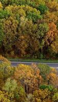 Highway in the forest. Cars moving on a road on colorful trees background. Transport on a road among beautiful autumn forest. Camera moves to the right. video