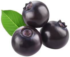 Acai berry illustration - Few acai berry with leaf isolated on a transparent background png
