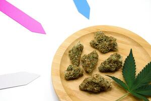 Cannabis buds and leaves on a wooden plate and a colorful PVC plant tag on a white isolated background in a research lab. Marijuana bud and leaf isolated on white background. photo