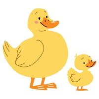 Flat illustration in children's style on white background. Cute duck with duckling vector