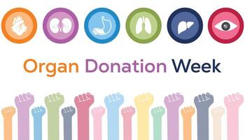 Organ Donation week is observed every year on September. banner design template illustration background design. vector