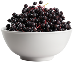 Sambucus fruit illustration - Elderberry in a white bowl isolated on a transparent background png