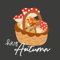 Hello Autumn illustration. A wooden wicker basket with a handle with mushrooms and a sprig of sea buckthorn. Flat fly agaric, sea buckthorn, basket and inscription on gray background vector