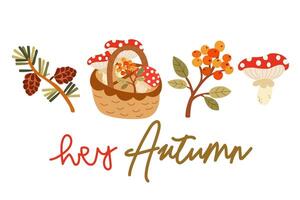 Hello Autumn illustration. Set of flat autumn forest plants. A branch of a pine tree with cones, forest poisonous mushrooms, a branch of sea buckthorn. Hand written inscription hey Autumn vector