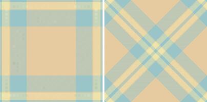 Background texture seamless of pattern fabric textile with a check tartan plaid . Set in sky colors. Buffalo fashion for a rustic look. vector