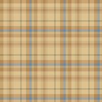 Plaid seamless pattern. background of textile ornament. Flat fabric design. vector