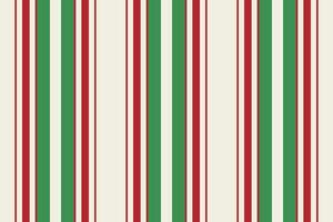 Vertical stripes seamless pattern. Lines abstract design. Stripe texture suitable fashion textiles. vector