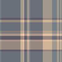 Machinery pattern fabric tartan, difficult background texture. Tribal textile check seamless plaid in pastel and light colors. vector