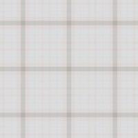 Plaid seamless pattern. background of textile ornament. Flat fabric design. vector