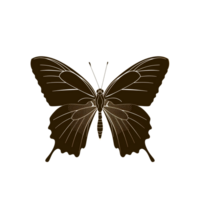A beautiful butterfly silhouette with delicate wings, isolated on a transparent background png