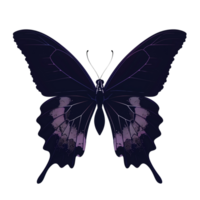 A beautiful butterfly silhouette with delicate wings, isolated on a transparent background png