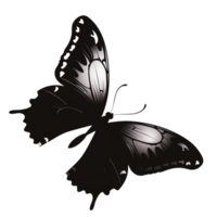 A beautiful butterfly silhouette with delicate wings, isolated on a transparent background png