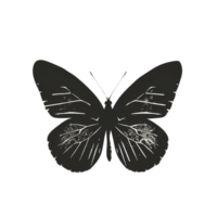 A beautiful butterfly silhouette with delicate wings, isolated on a transparent background png