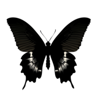 A beautiful butterfly silhouette with delicate wings, isolated on a transparent background png