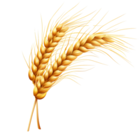 A close-up of a wheat icon, isolated on a transparent background png