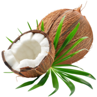 A perfectly ripe coconut with lush green leaves, isolated on a transparent background png