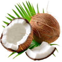 A perfectly ripe coconut with lush green leaves, isolated on a transparent background png
