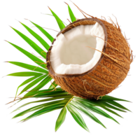 A perfectly ripe coconut with lush green leaves, isolated on a transparent background png