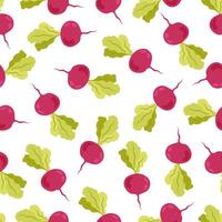 Seamless pattern with beets in flat style on white background. Healthy food. Cartoon beet in flat style. Pattern for textile, wrapping paper, background. vector
