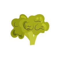Broccoli in flat style on white background. Healthy food. Ripe salad ingredient. Illustration of useful vegetable. vector