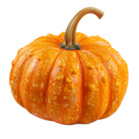 A vibrant orange pumpkin isolated on a transparent background png