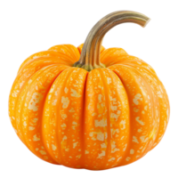 A vibrant orange pumpkin isolated on a transparent background png