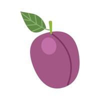 A big beautiful plum. Icon of a healthy fruit, a fresh plum with a leaf, a source of vitamins. Icon for app about products, alphabet. flat illustration, cartoon style. vector