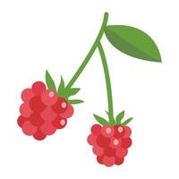 European red raspberry isolated on white background. Pink raspberries with leaves icon for package design. illustration of fruits and berries in flat style. vector