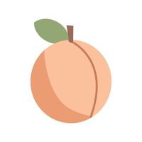 Expressive flat Peach Modern and Simple Illustration Perfectly Suited for Web Design, Social Media, and Mobile Applications. Isolated on white background. Peach icon vector