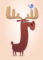 Funny cartoon moose character. moose illustration isolated. vector