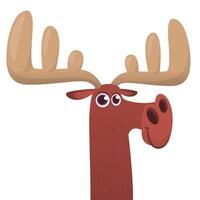 Funny cartoon moose character. moose illustration isolated. vector