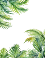 Tropical palm leaves frame, coconut tree leaf background png