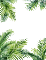 Palm leaf frame on transparent background png